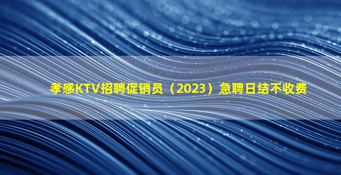 孝感KTV招聘促销员（2023）急聘日结不收费